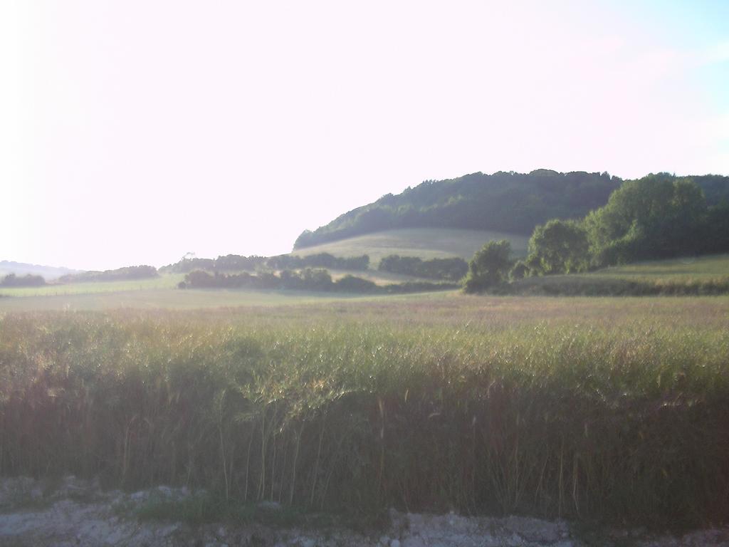 Gite "La Solitude" Licques 部屋 写真